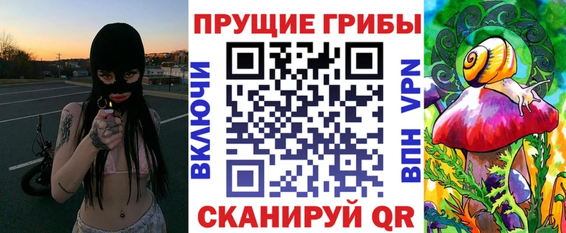 Купить где  Невинномысск  Псилоцибиновые грибы MAGIC MUSHROOMS 